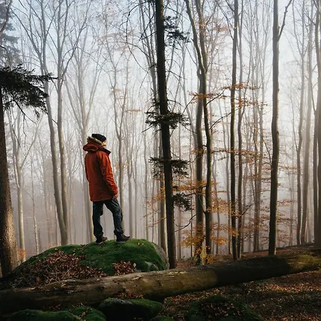 Apartment Pod Kopcem -