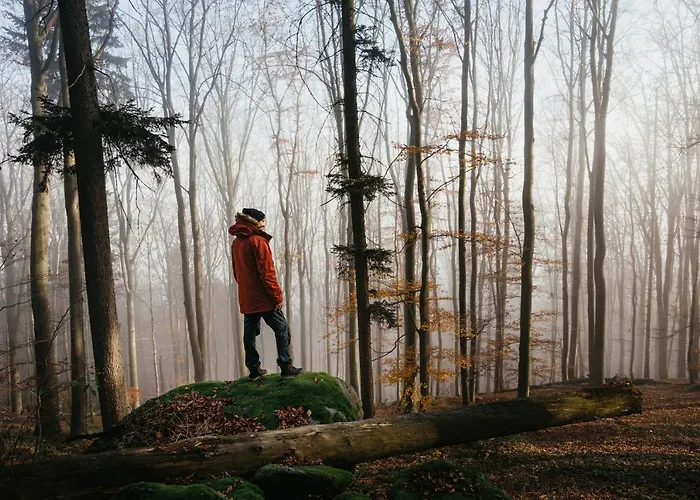 Apartment Pod Kopcem -